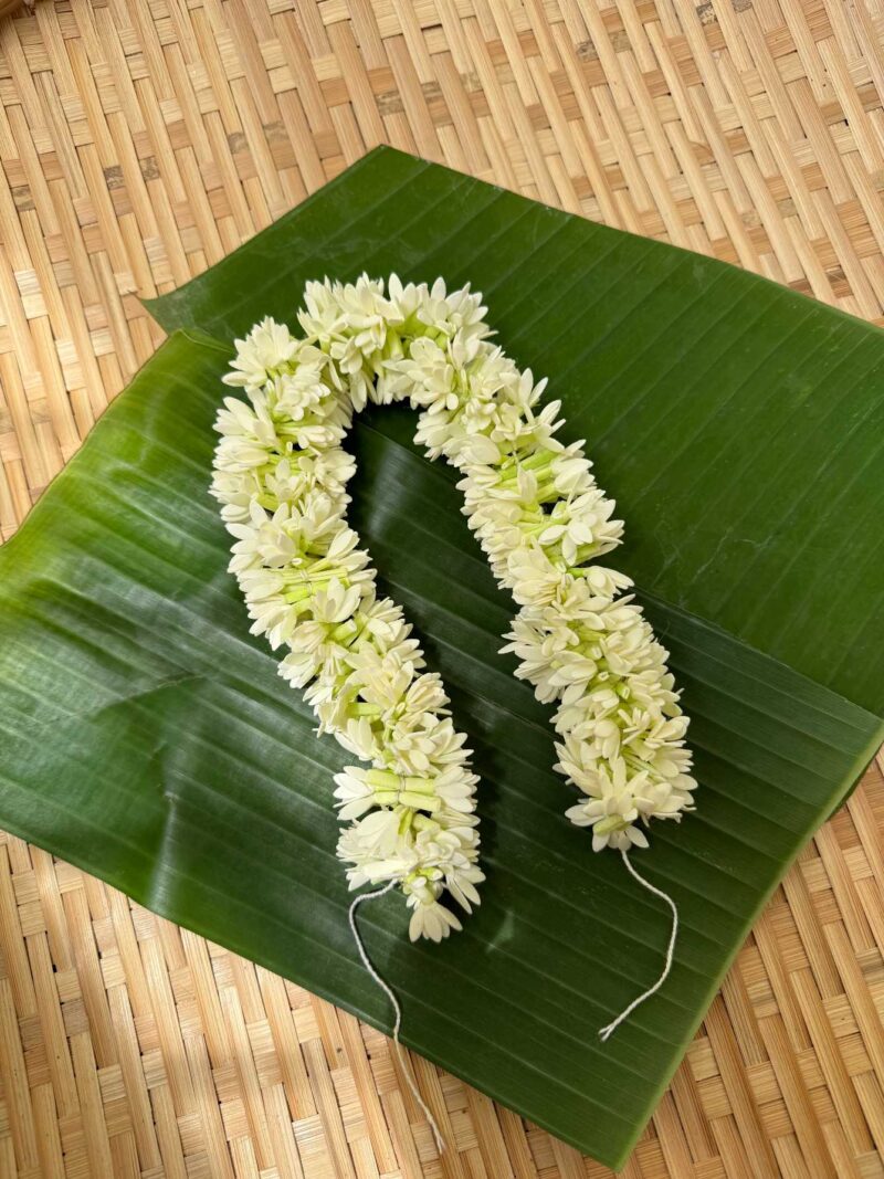 Real Look like Bloomed Mullai – J214