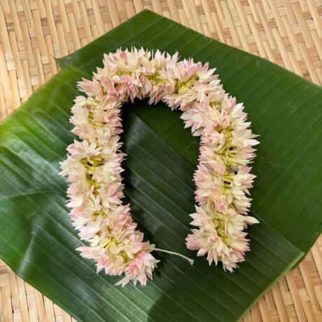Real Look like Full Bloomed Jaathi Malli – J214