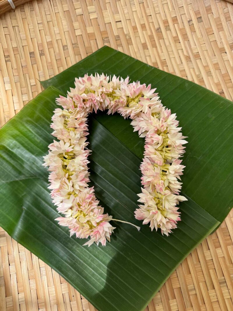 Real Look like Full Bloomed Jaathi Malli – J214