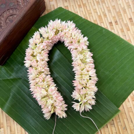 Real Look like Partial Bloomed Jaathi Malli – J220