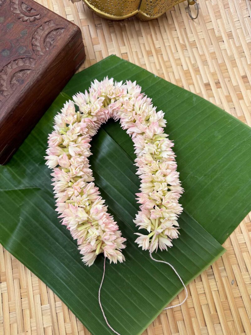 Real Look like Partial Bloomed Jaathi Malli – J220