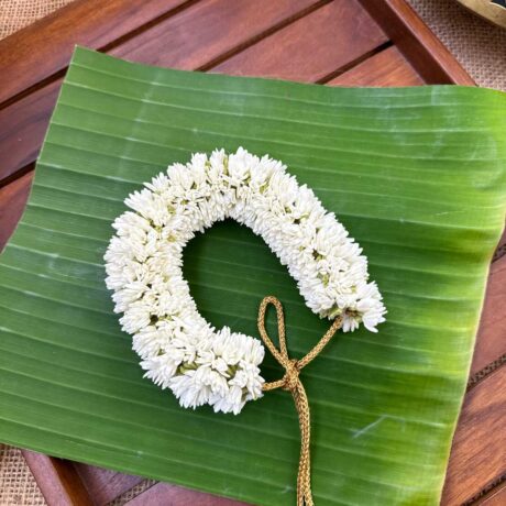 Mullai Veni –  J311