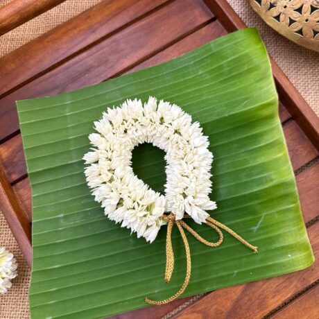 Pichi Veni –  J310